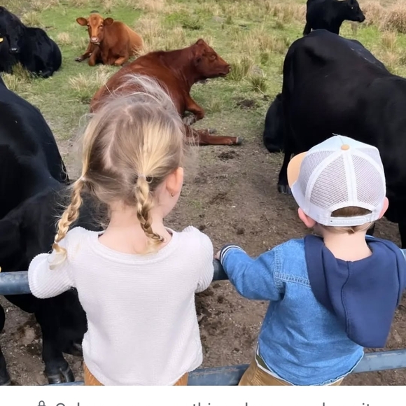 Live Pop Up Show Notification Flyerβ€οΈ - Picture 3 of 11